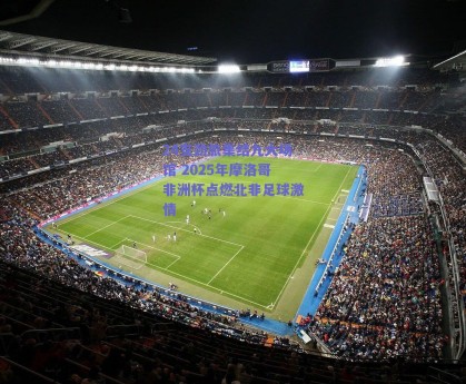 24支劲旅集结九大场馆 2025年摩洛哥非洲杯点燃北非足球激情