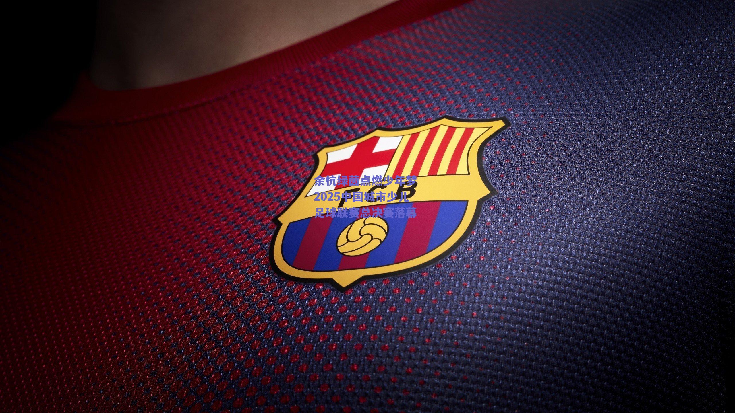 余杭绿茵点燃少年梦 2025中国城市少儿足球联赛总决赛落幕